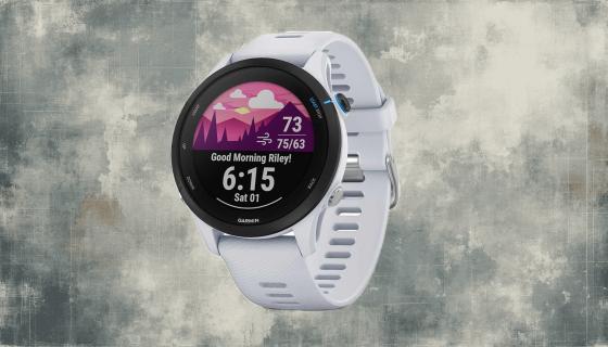 Garmin Forerunner 255